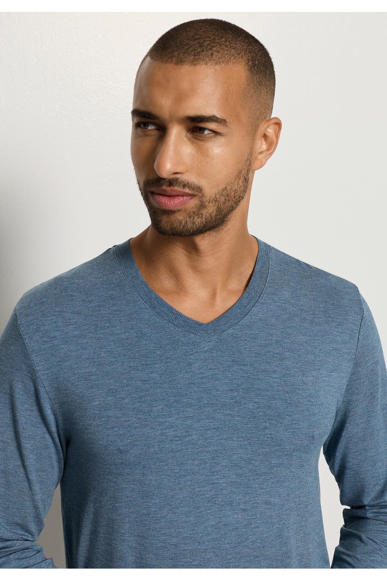 Casuals Long Sleeve V-Neck Top, Alternate, color, Retro Blue Melange
