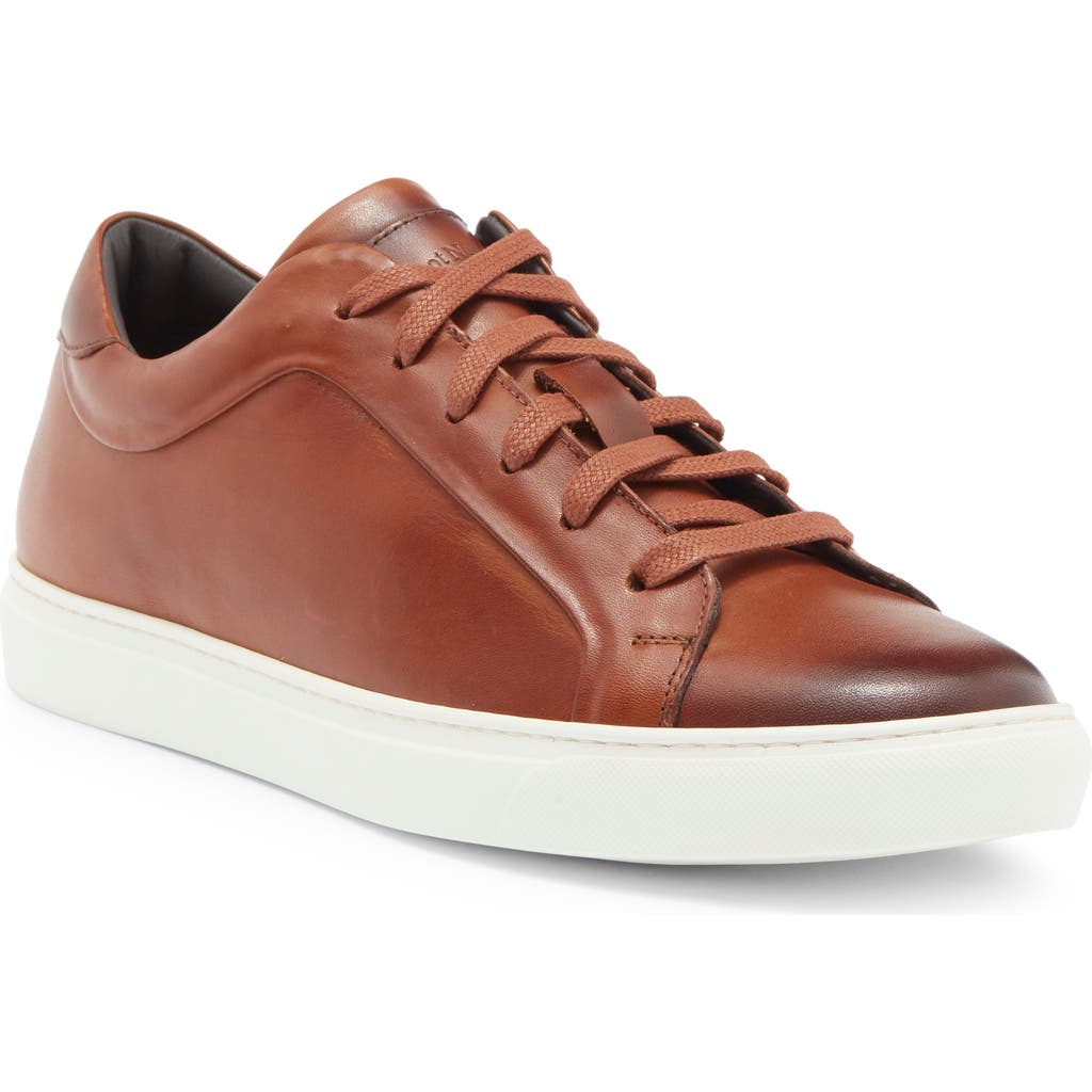 To Boot New York Mesa Low Top Sneaker In Cognac