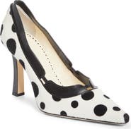Manolo Blahnik Xerxa Pointed Toe Pump