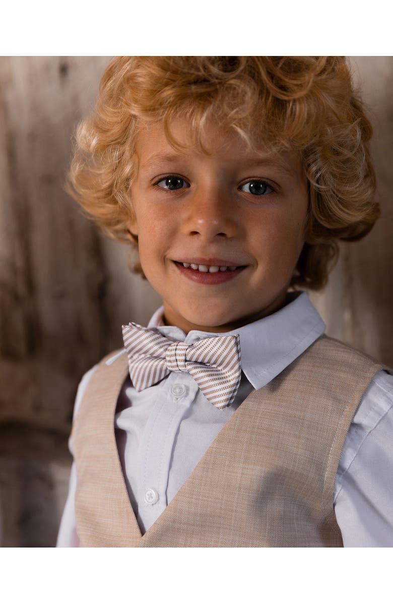 Deux par Deux Boy's Bow Tie Light Taupe, Alternate, color, Light Taupe Striped