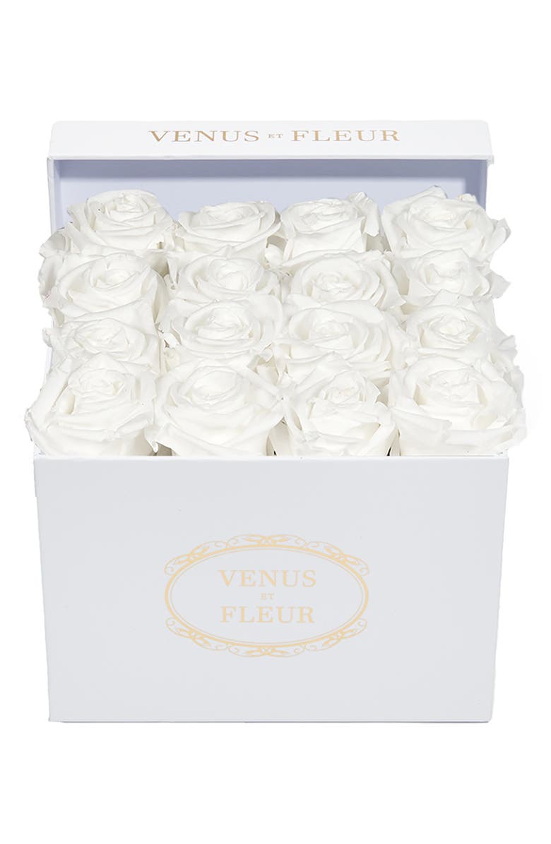 Venus ET Fleur Classic Small Square Eternity Roses, Main, color, Pure White