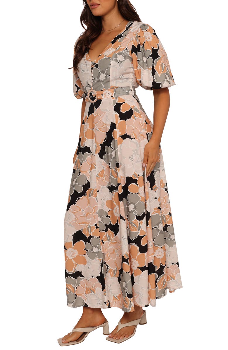 Petal & Pup Tiarni Floral Maxi Dress, Alternate, color, Black Floral
