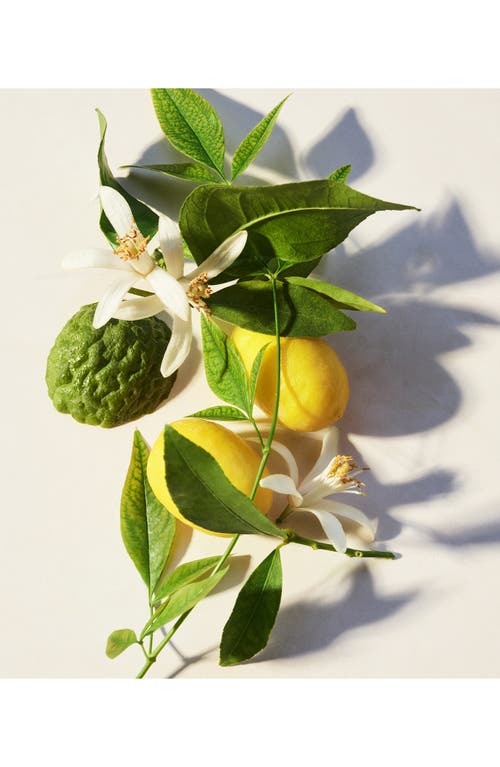 Bvlgari Eau Perfumée Thé Vert Shower Gel In No Color