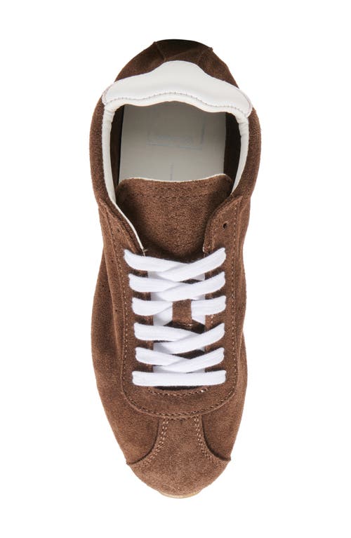 Dolce Vita Serina Sneakers Dk Brown Suede In Brown