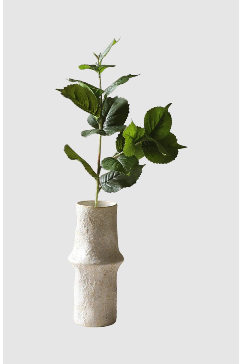 Green Hydrangea Leaves, Main, color, Green