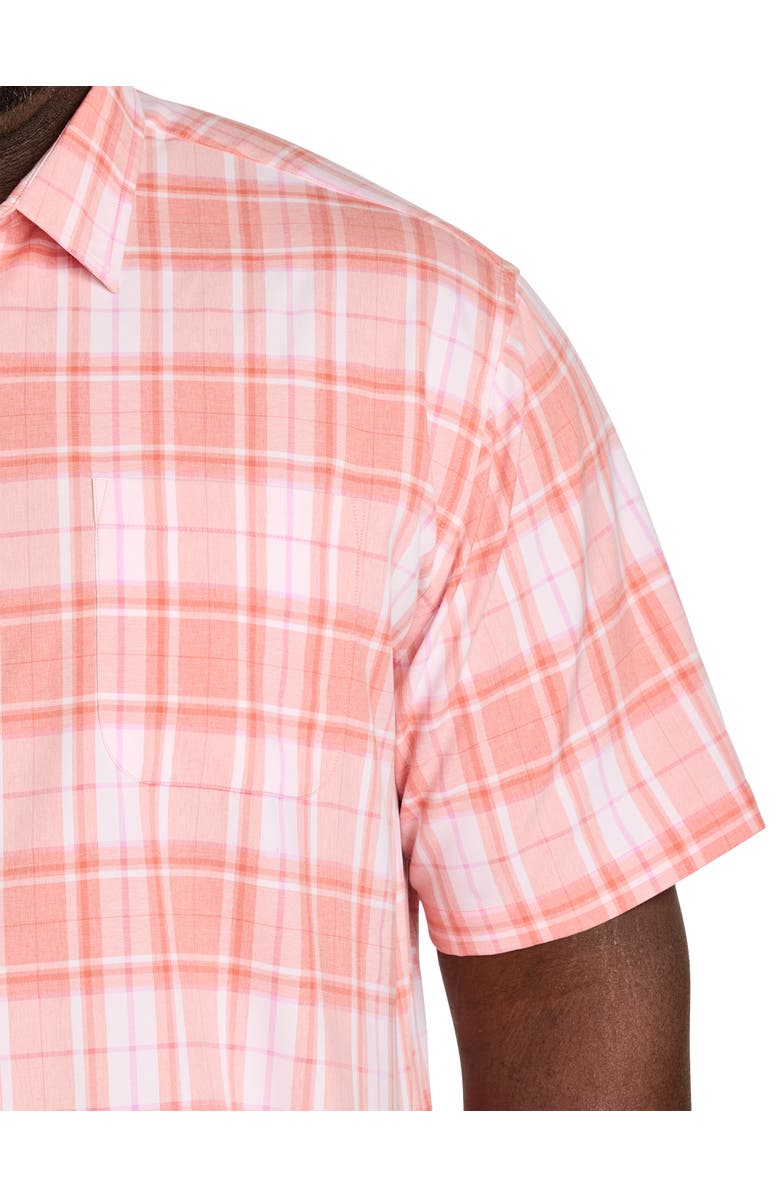 Harbor Bay by DXL Big & Tall Microfiber Medium Plaid Sport Shirt V5, Alternate, color, Pink