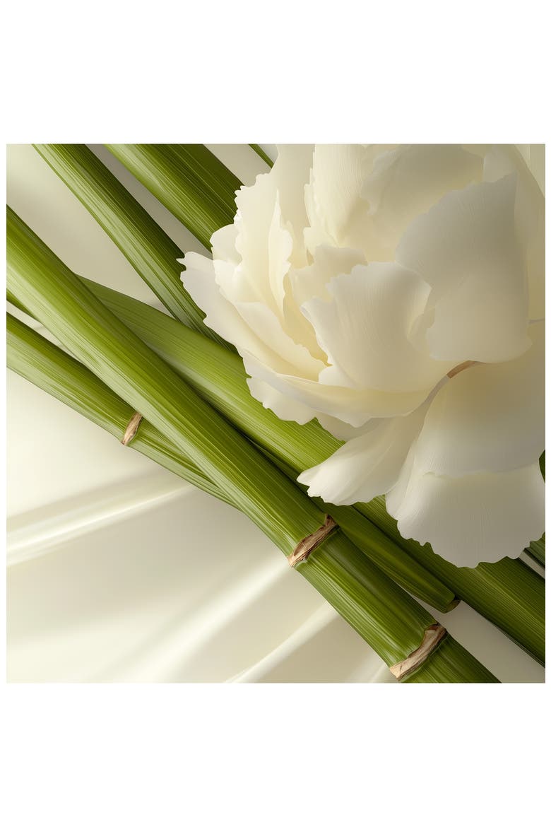 Shampooing Crème Moelle de Bambou- Hydrating Shampoo for Long, Dry, or Frizzy Hair, Alternate, color, NO COLOR