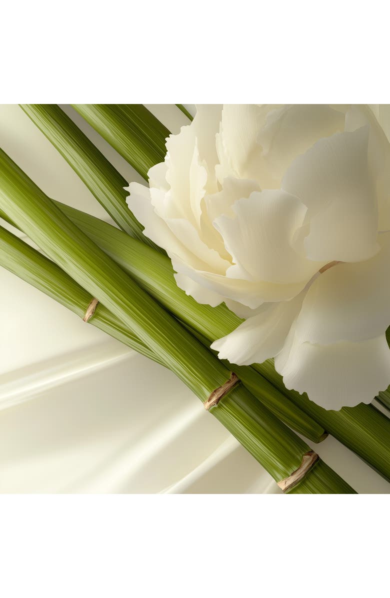 Leonor Greyl PARIS Shampooing Crème Moelle de Bambou- Hydrating Shampoo for Long, Dry, or Frizzy Hair, Alternate, color, 