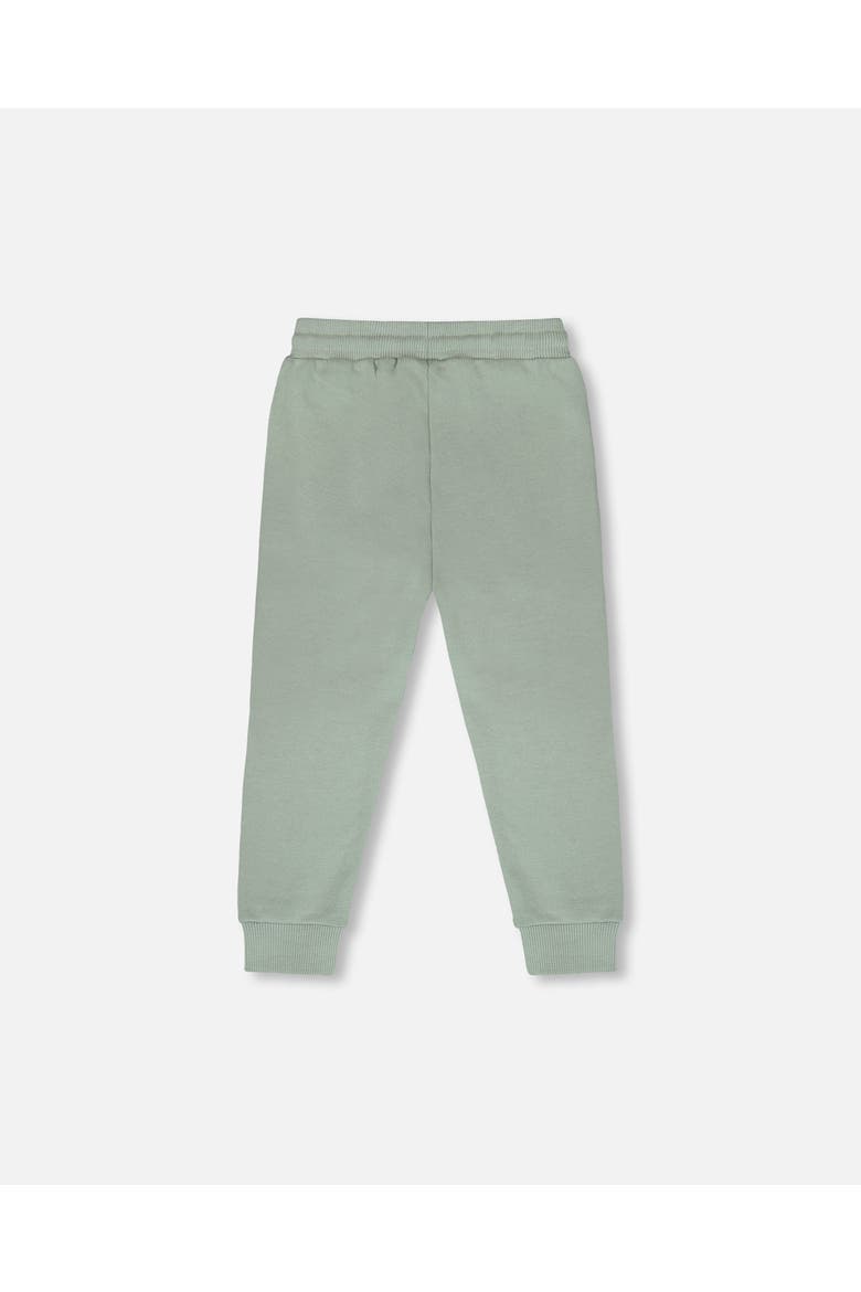 French Terry Elastic Waist Sweatpants, Alternate, color, Mint Green