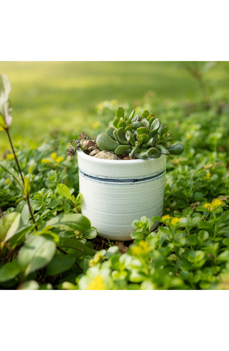 Foreside Home and Garden Vintage Crackle 5.5 Inch Planter Pot Blue Stripe Stoneware, Alternate, color, Blue