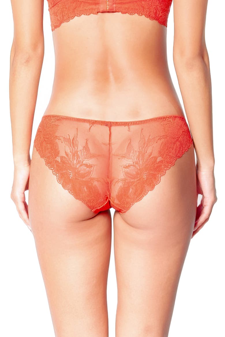Brandy Bikini Briefs, Alternate, color, BRICK