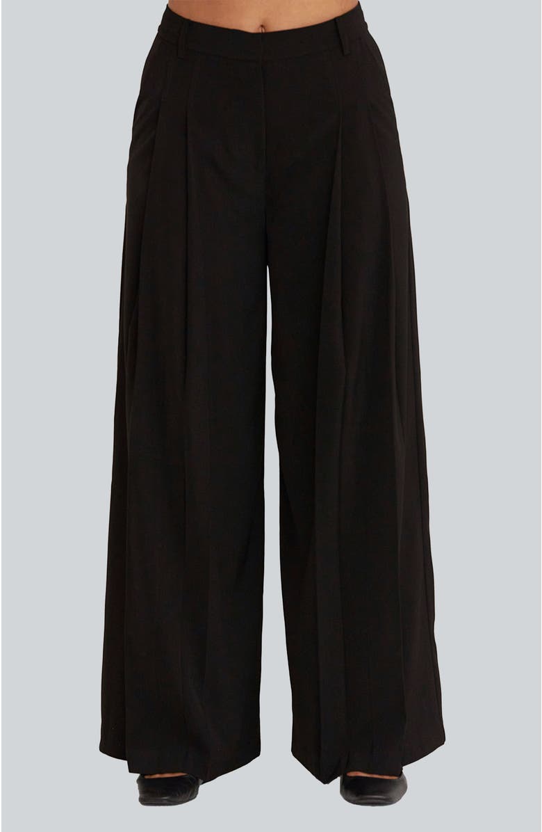 CRESCENT Pleated Wide Leg Trousers, Main, color, 