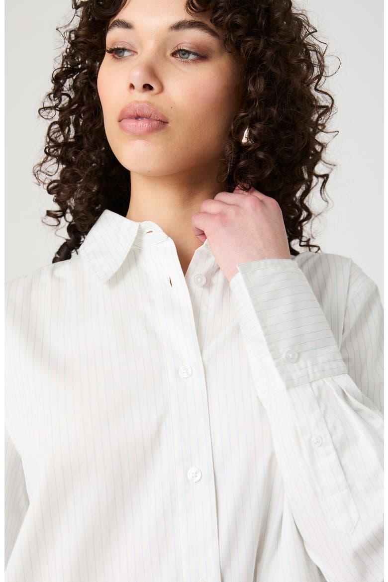 Pinstripe Cotton Poplin Button-Up Shirt, Alternate, color, CREAM-BLUE STRIPE