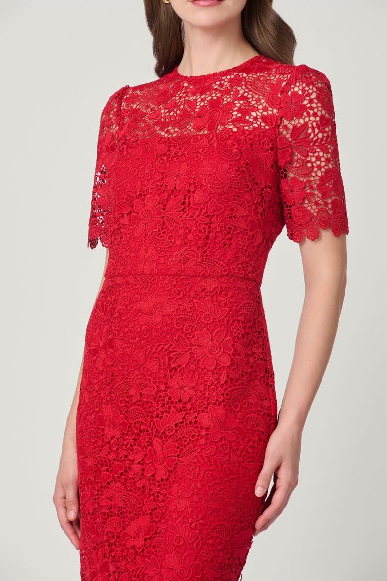 Darcy Savile Row Lace Dress, Alternate, color, Cherry