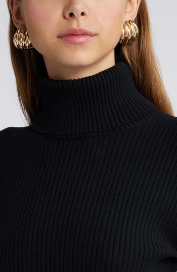 Rib Long Sleeve Turtleneck Sweater Dress