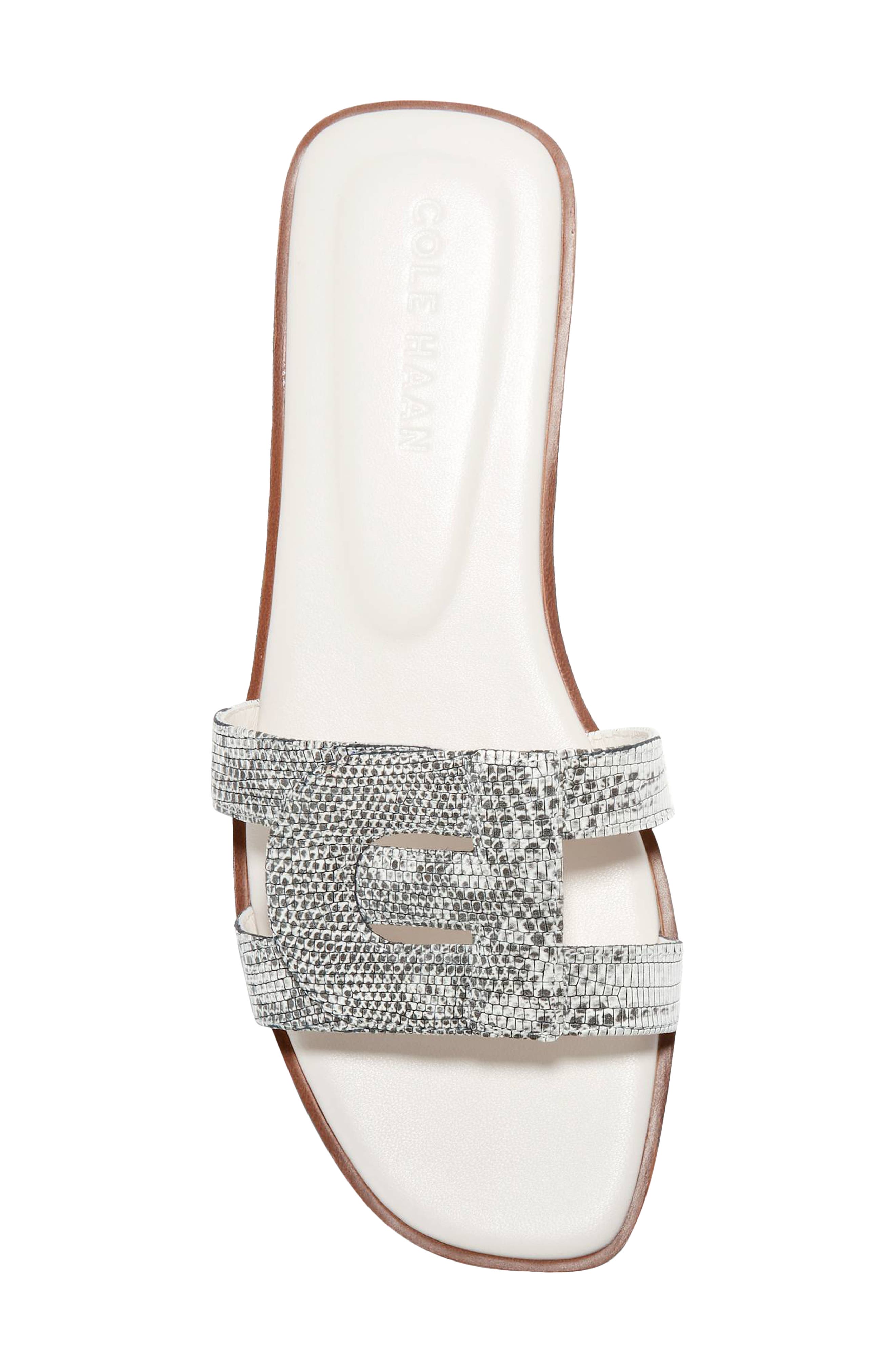 Chrisee Slide Sandal, Alternate, color, RING LIZAR