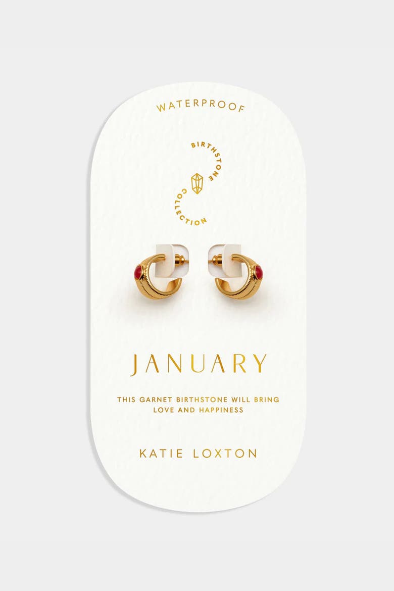 'January' Waterproof Gold Birthstone Hoop Earrings, Main, color, January