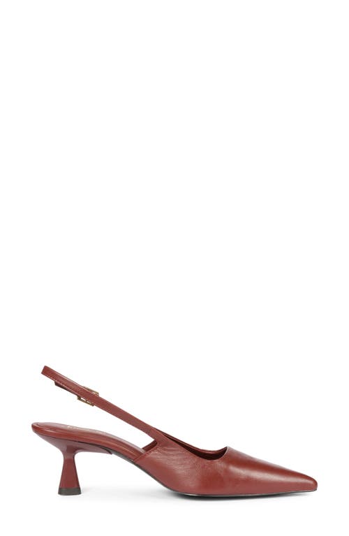 Saint G Cynara Slingback Pointed Toe Pump