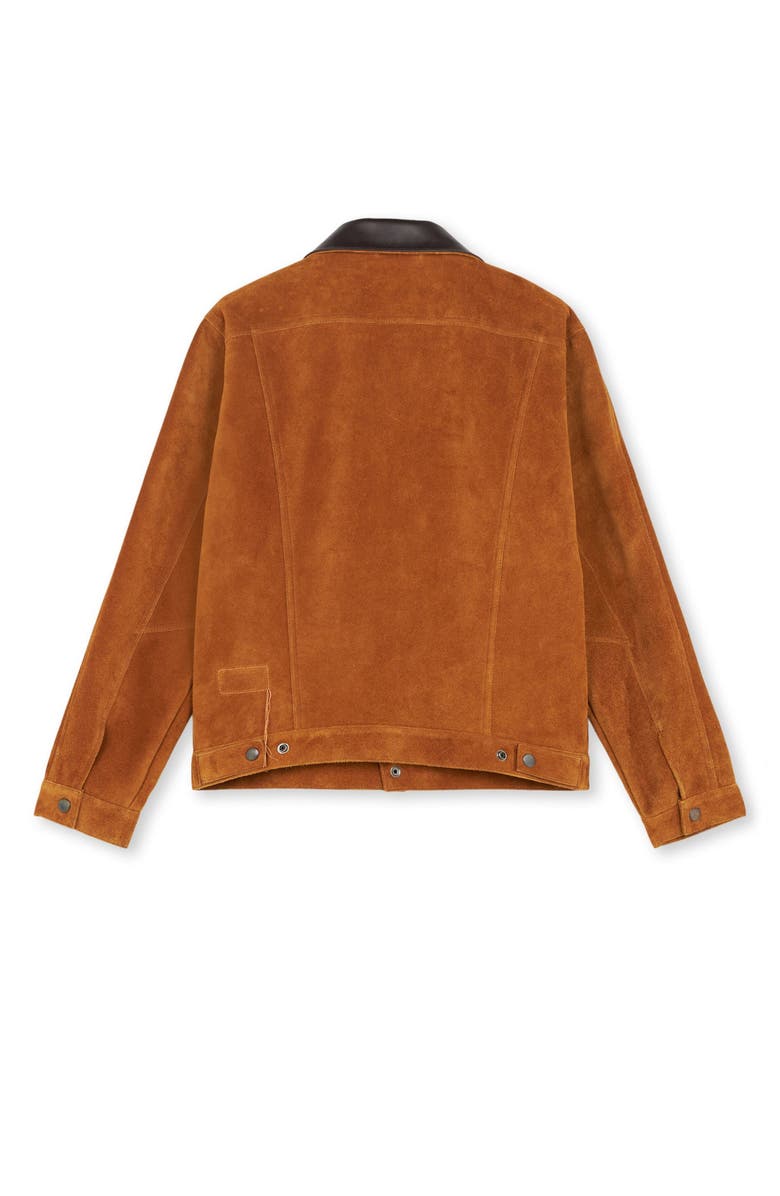 Fortela Thirty Heritage Leather Jacket, Alternate, color, Ecru