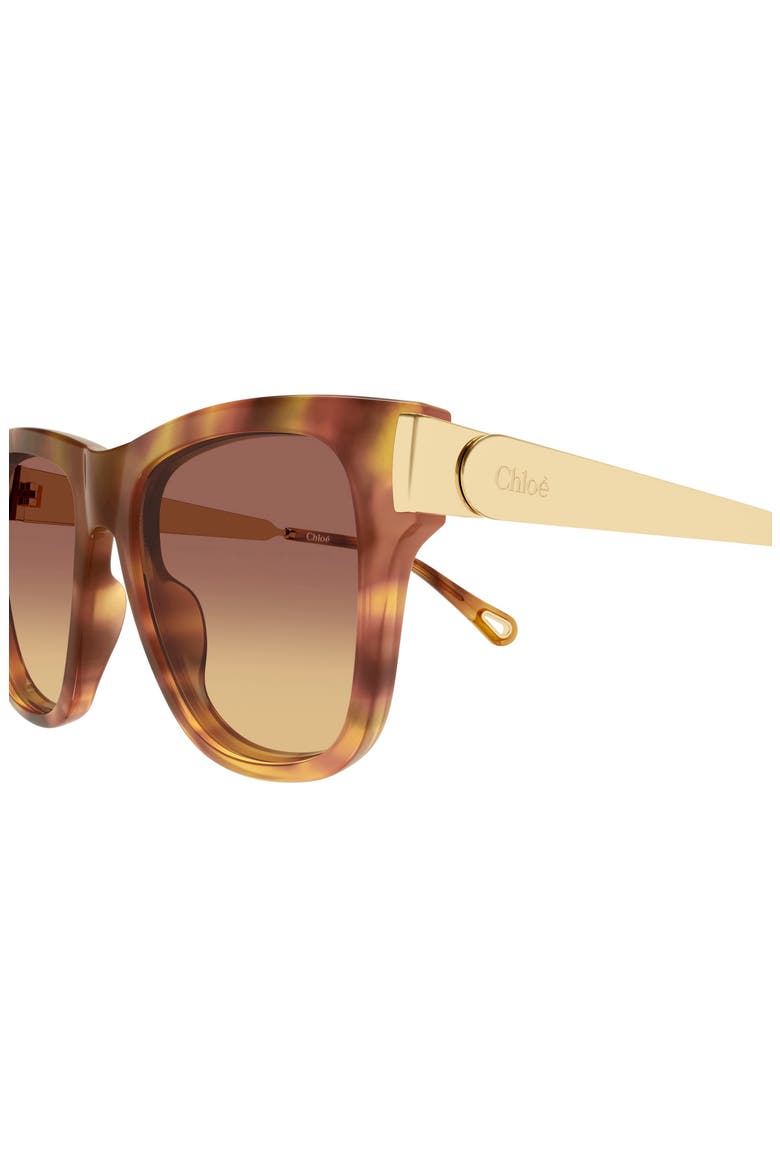 53mm Cat Eye Sunglasses, Alternate, color, HAVANA
