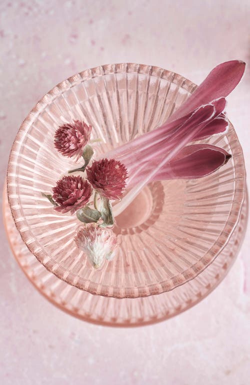 The Collective Home Pressed Pink Martini Glasses In Transparent