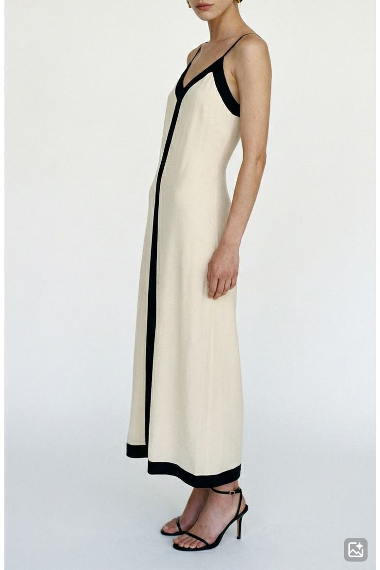 Denise V-Neck Midi Dress, Alternate, color, BIRCH DETAIL BLACK