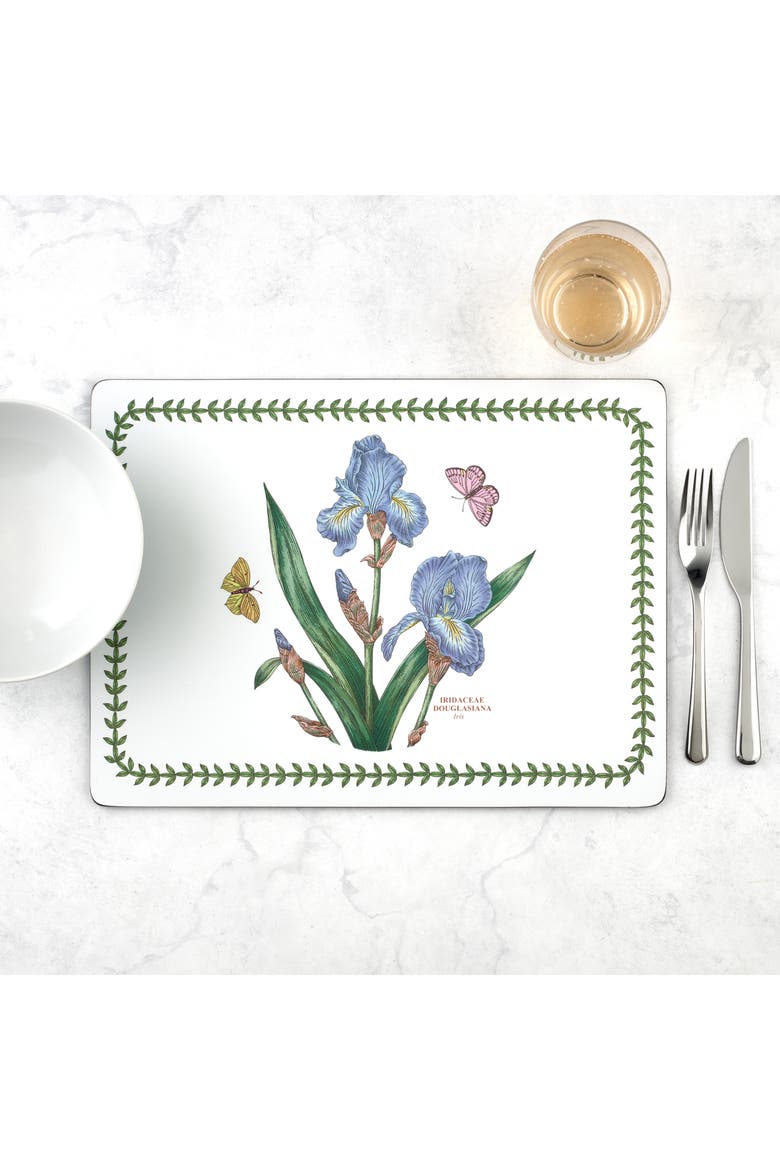 Botanic Garden Set of 4 Cork Back Placemats, Alternate, color, Botanic Garden