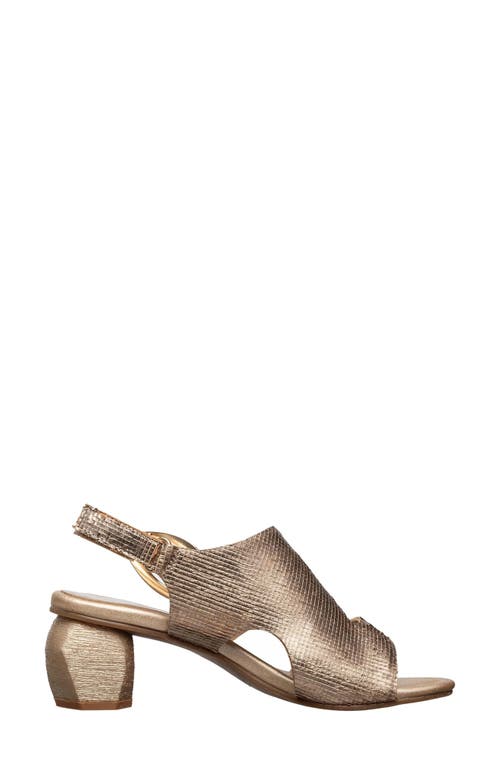 Antelope Lani Sandal In Gold