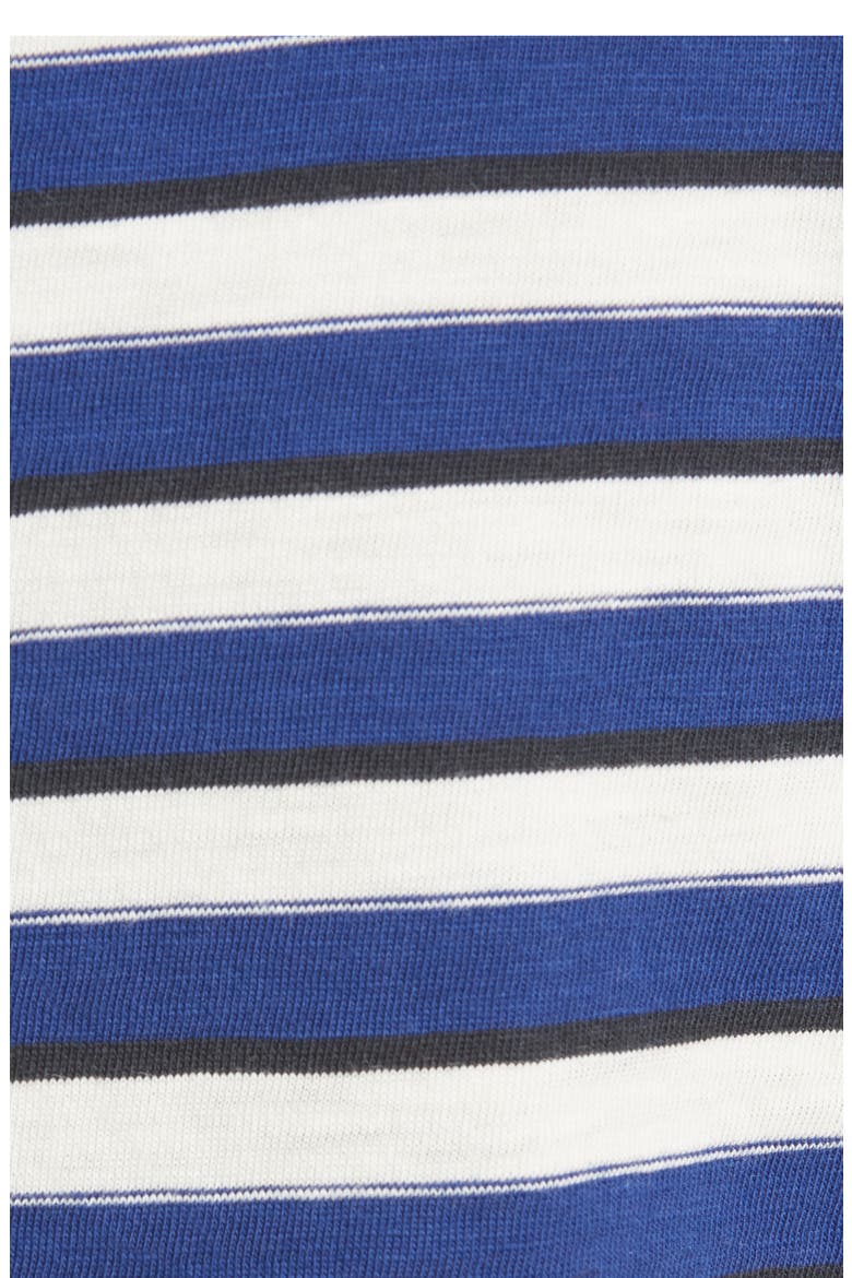 The Slub Stripe Organic Pima Cotton T-Shirt, Alternate, color, BLUE STRIPE