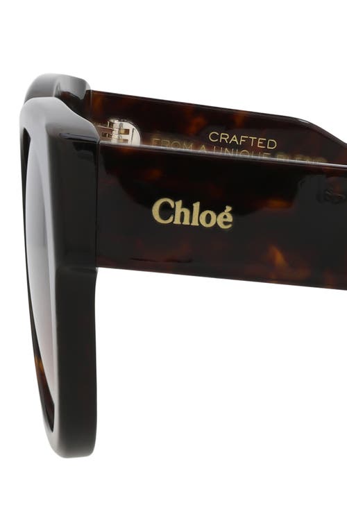 Chloé 55mm Cat Eye Sunglasses In Brown