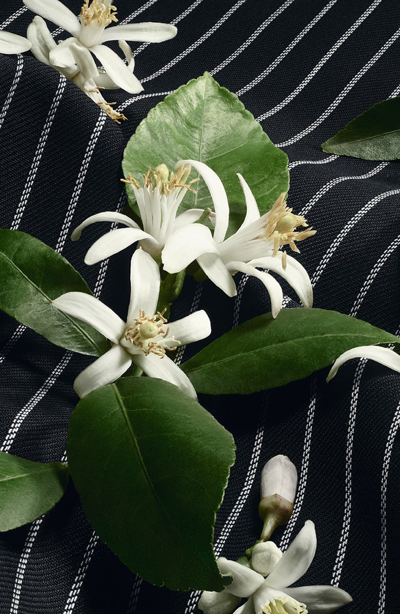 Dolce&Gabbana Masculine Re-Edition Eau de Parfum, Alternate, color,