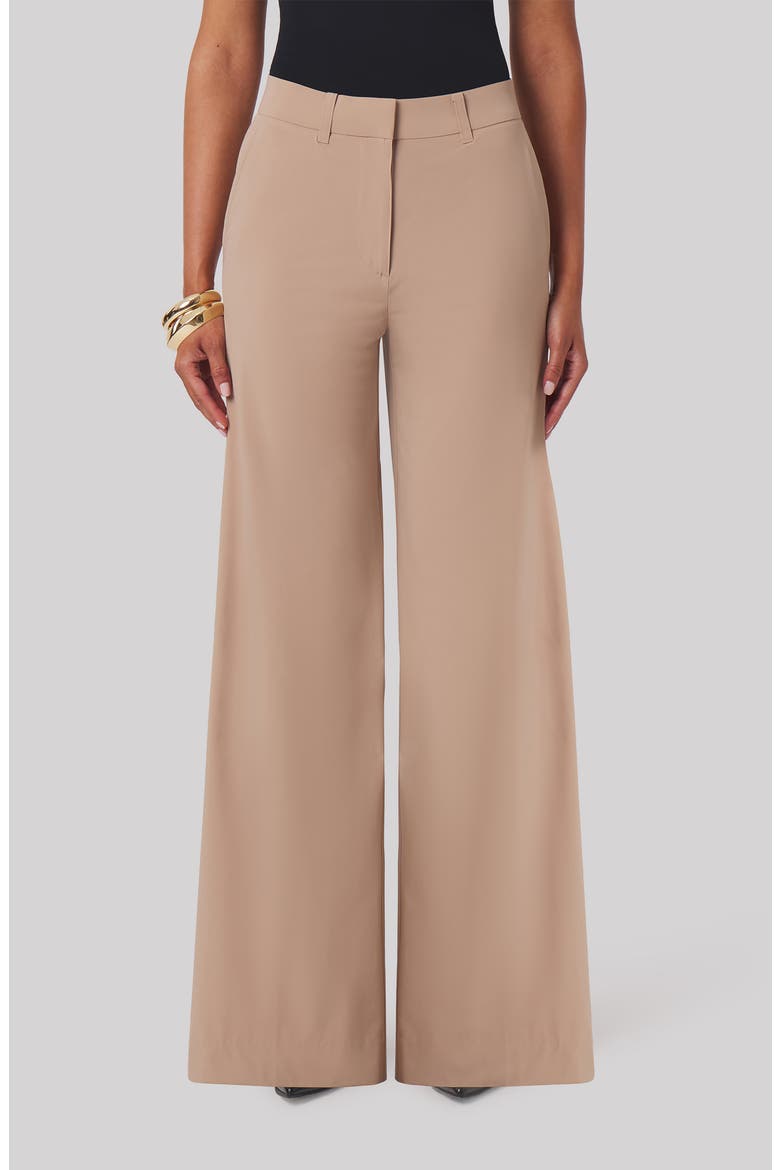 Toni Wide Leg Performance Pants, Main, color, SAND