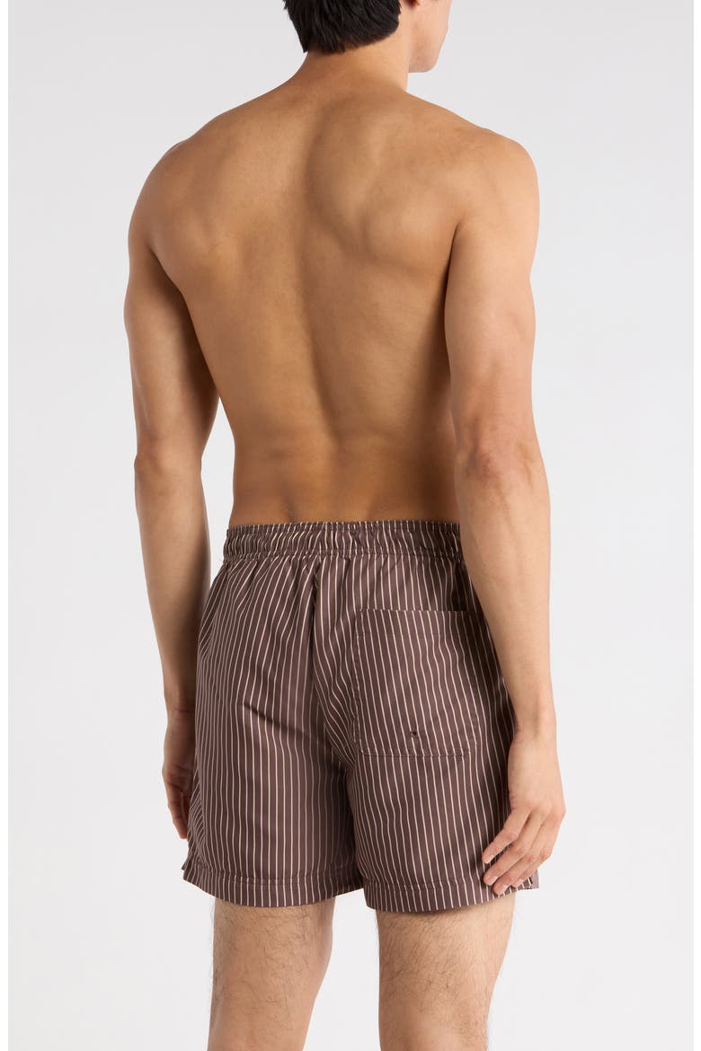 Bailey Pinstripe Swim Trunks, Alternate, color, BROWN/ TAN