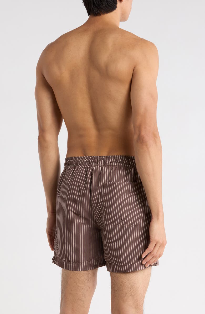 PacSun Bailey Pinstripe Swim Trunks, Alternate, color, Brown/ Tan