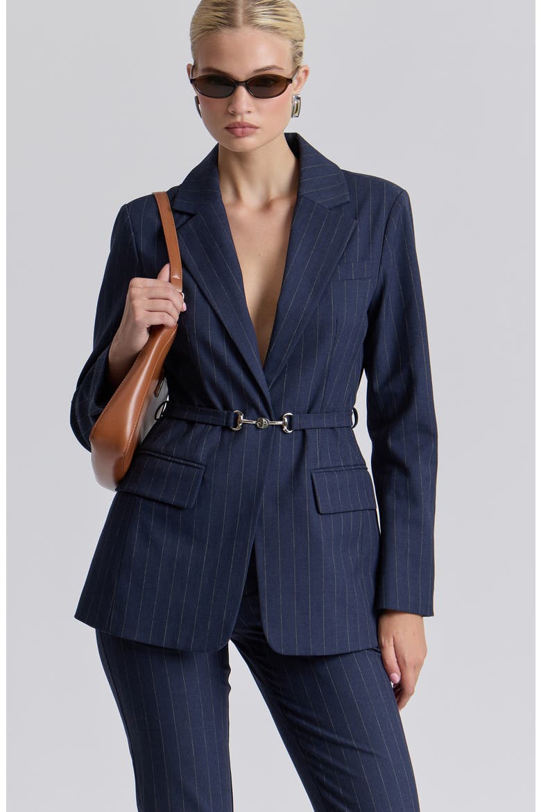 Pinstripe Belted Blazer, Alternate, color, NAVY-WHITE