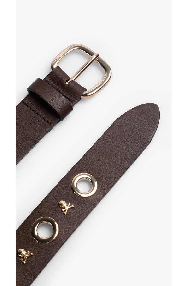 Scalpers Eyelet Skull Belt, Alternate, color, Darkbrown
