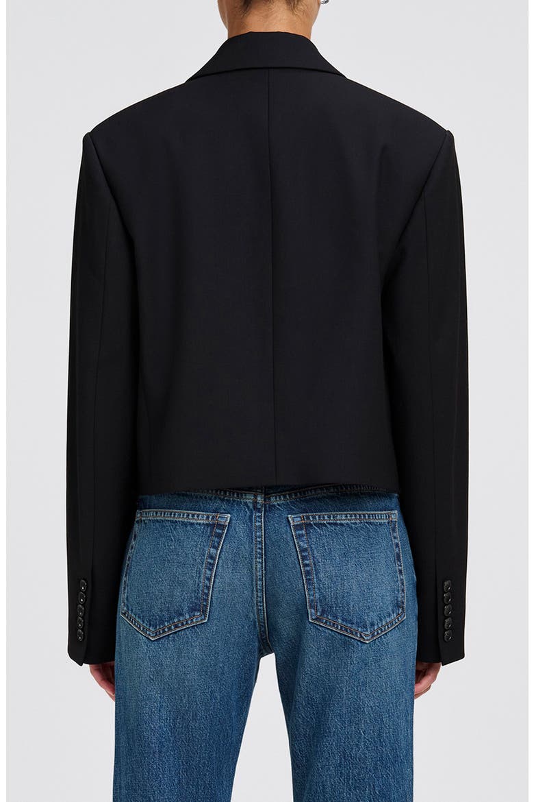 Cass Cropped Blazer, Alternate, color, BLACK