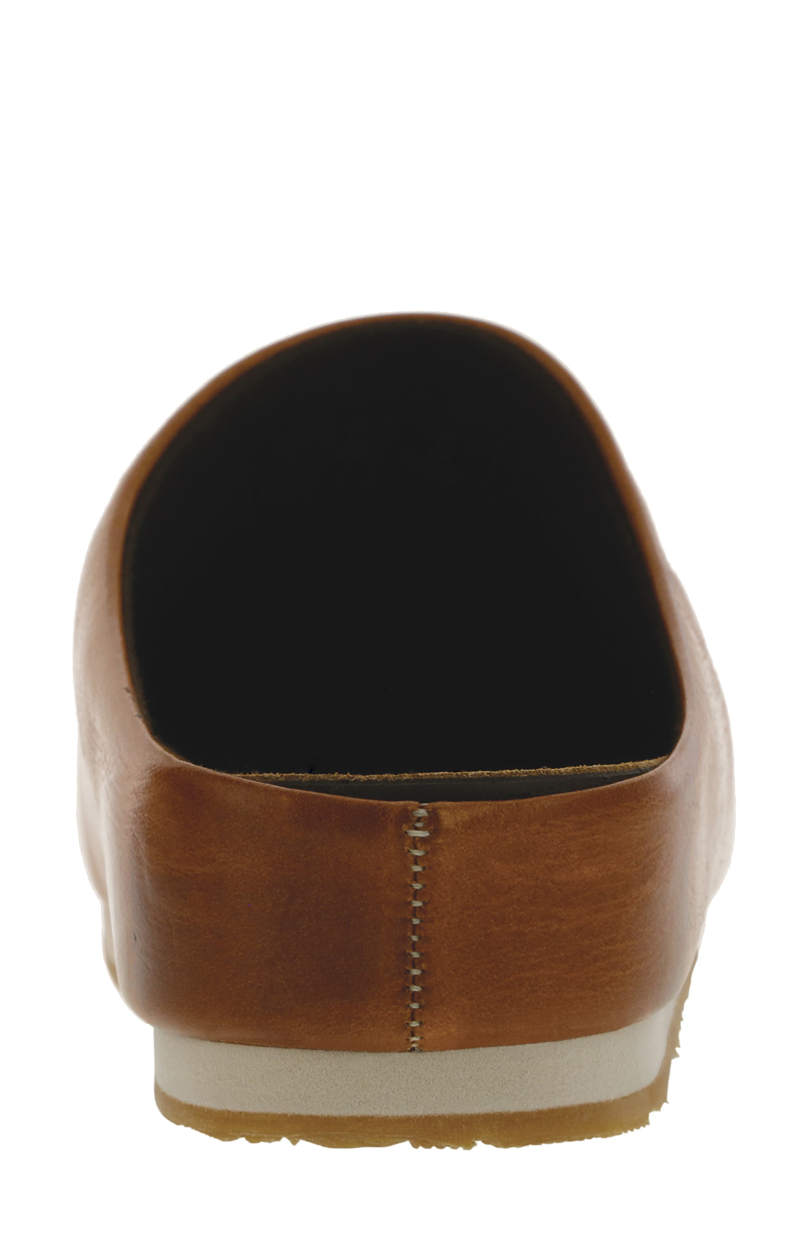 Hinny Mule - image 4