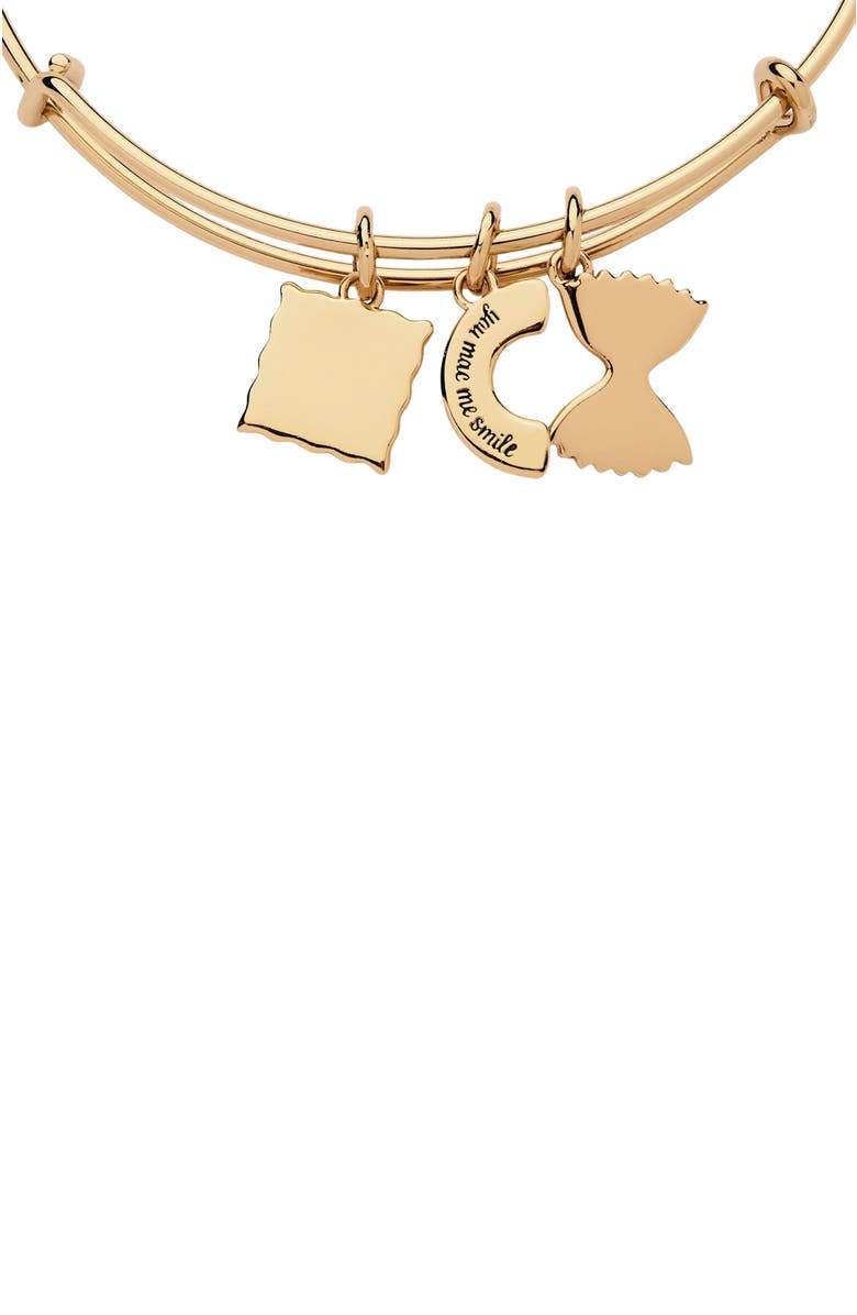 Alex and Ani Bangle Bracelet Multi Charm Pasta, Alternate, color, 
