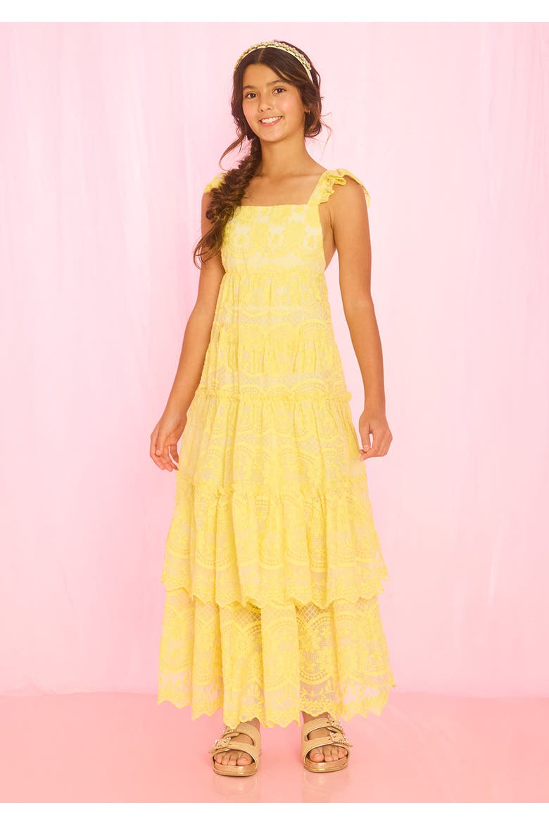 Kaia Lace Embroidered Maxi Dress, Alternate, color, Lemon