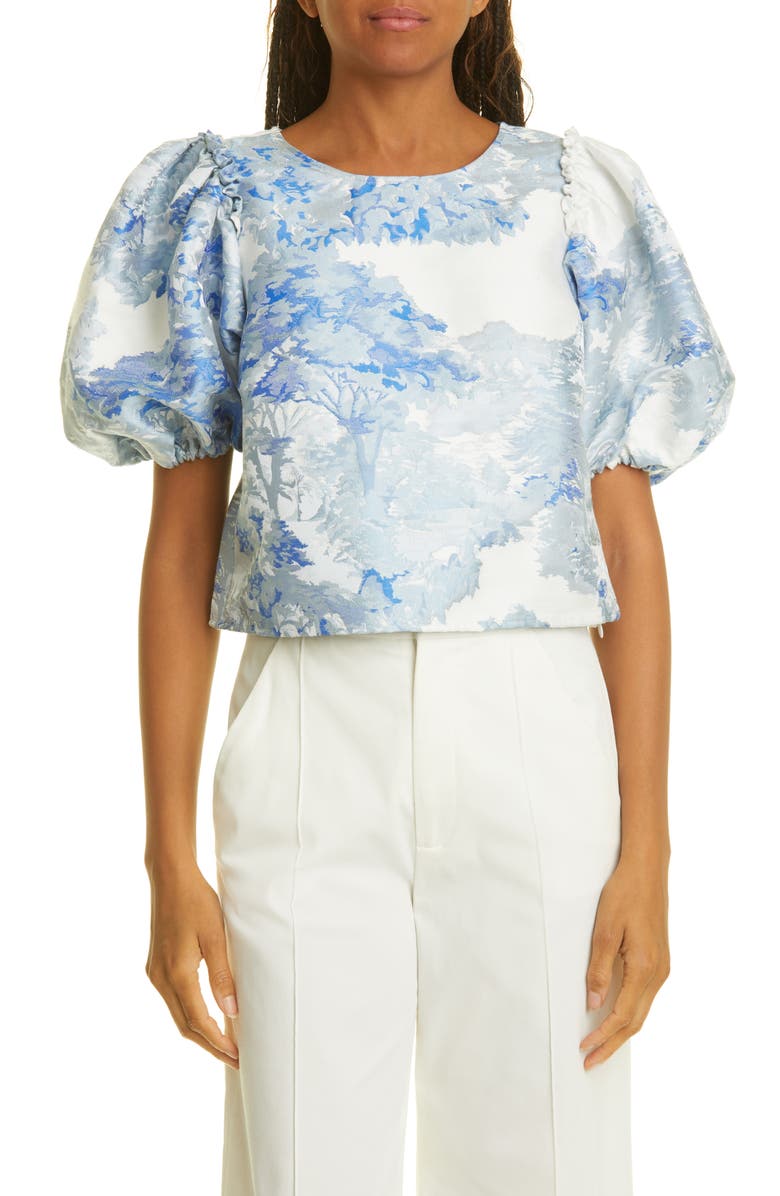 Ted Baker London Ivria Puff Sleeve Crop Top, Main, color, 