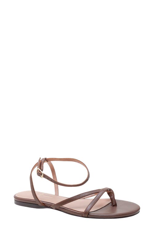 Linea Paolo Luz Ankle Strap Sandal In Chocolate