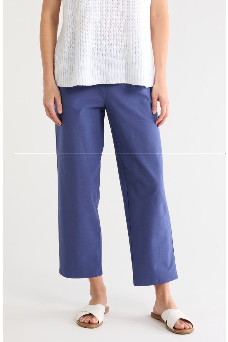 Straight Leg Ankle Pants, Main, color, BLUE VIOLET