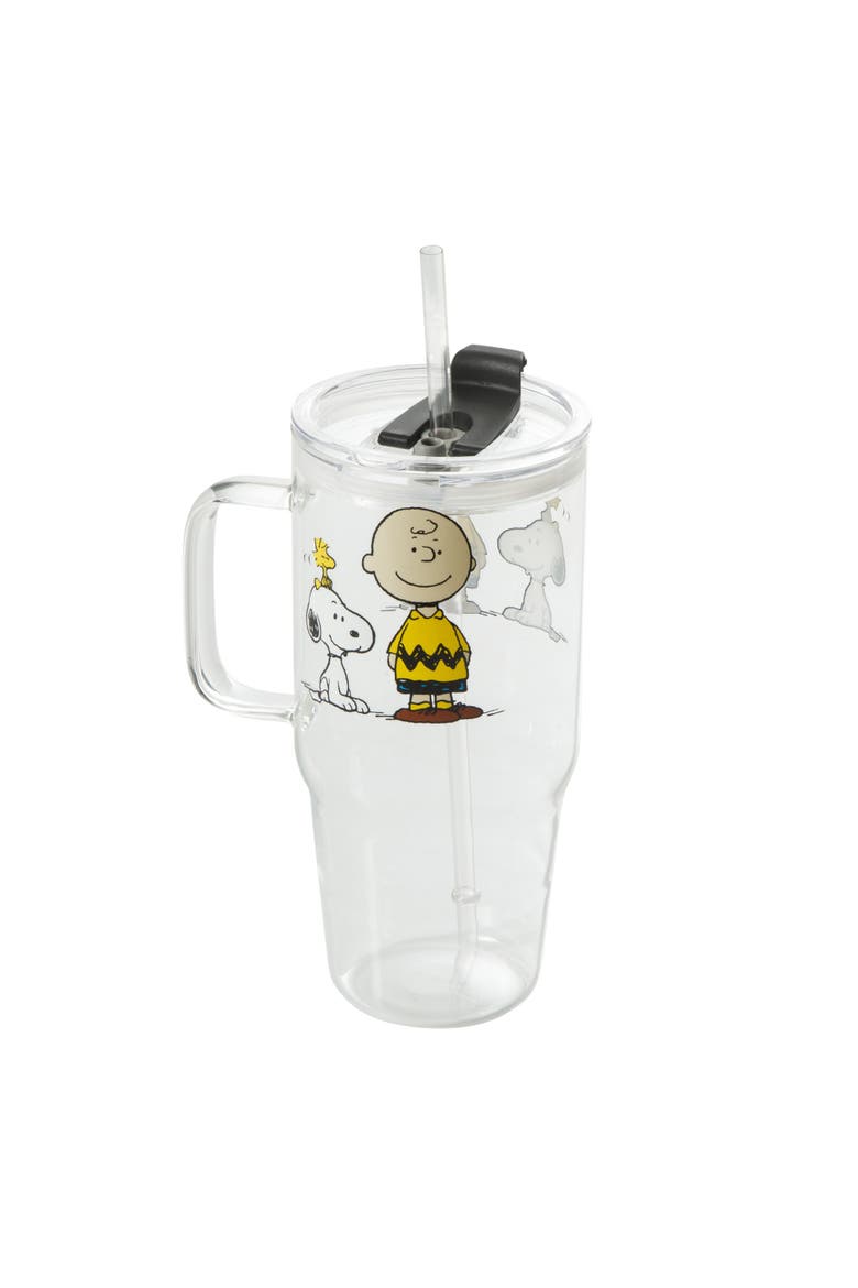 Cool Pals 3-Piece Borosilicate Glass Tumbler Set with Handle and Straw, Alternate, color, Clear