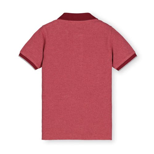 Hope & Henry Baby Boys' Organic Pique Polo, Infant In Dark Red Heather
