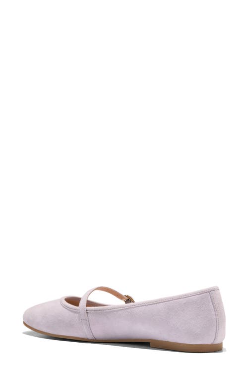 Cole Haan Yelena Mary Jane Ballet Flat In Thistle Suede