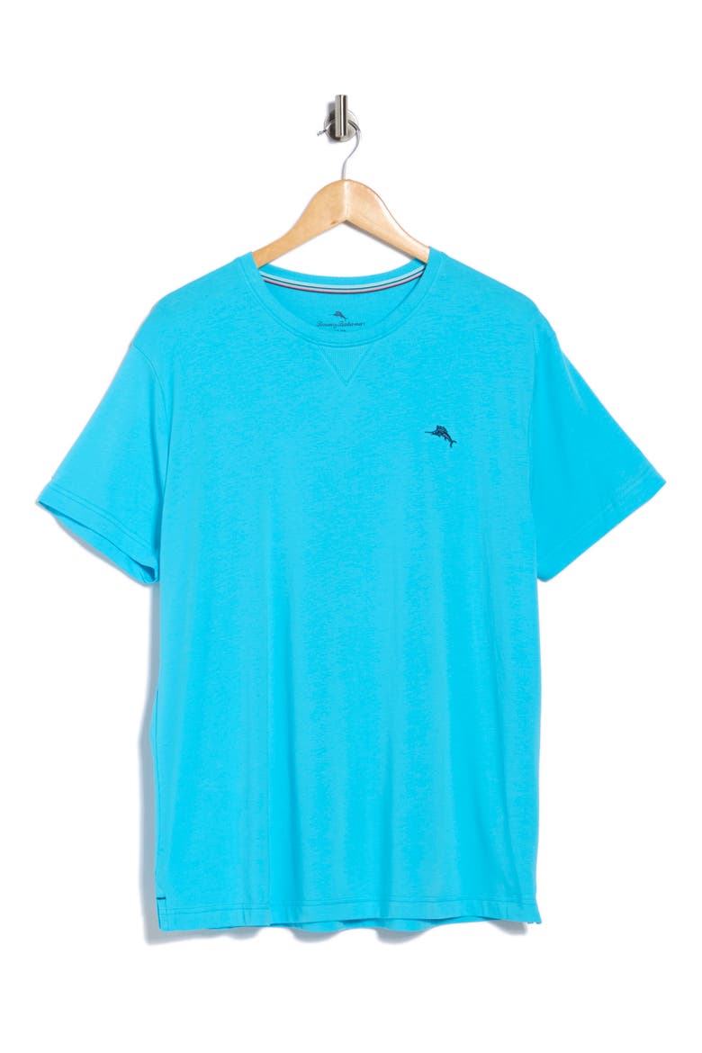 Marlin Embroidered T-Shirt, Alternate, color, BLUE