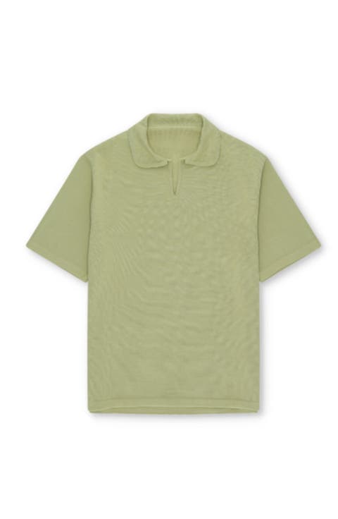 Andy Cotton Knit Polo