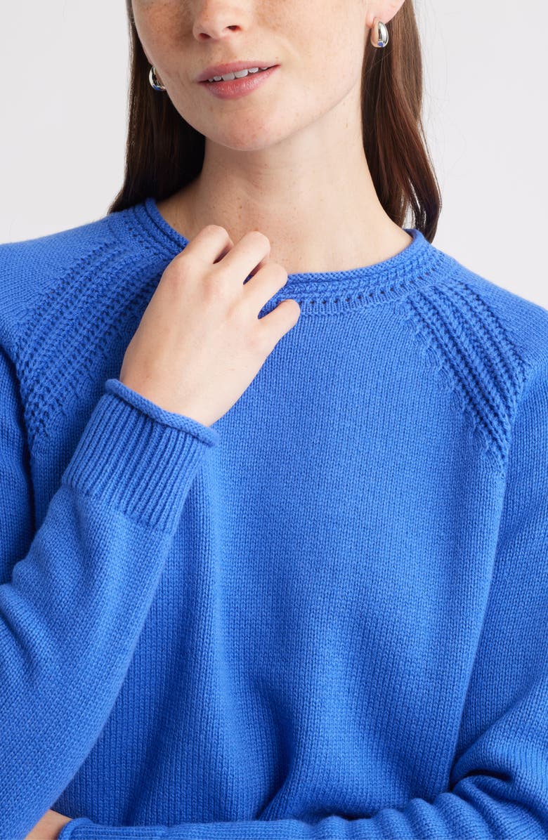 Caslon<sup>®</sup> Raglan Sleeve Roll Neck Wool & Cotton Sweater, Alternate, color, Blue Dazzle