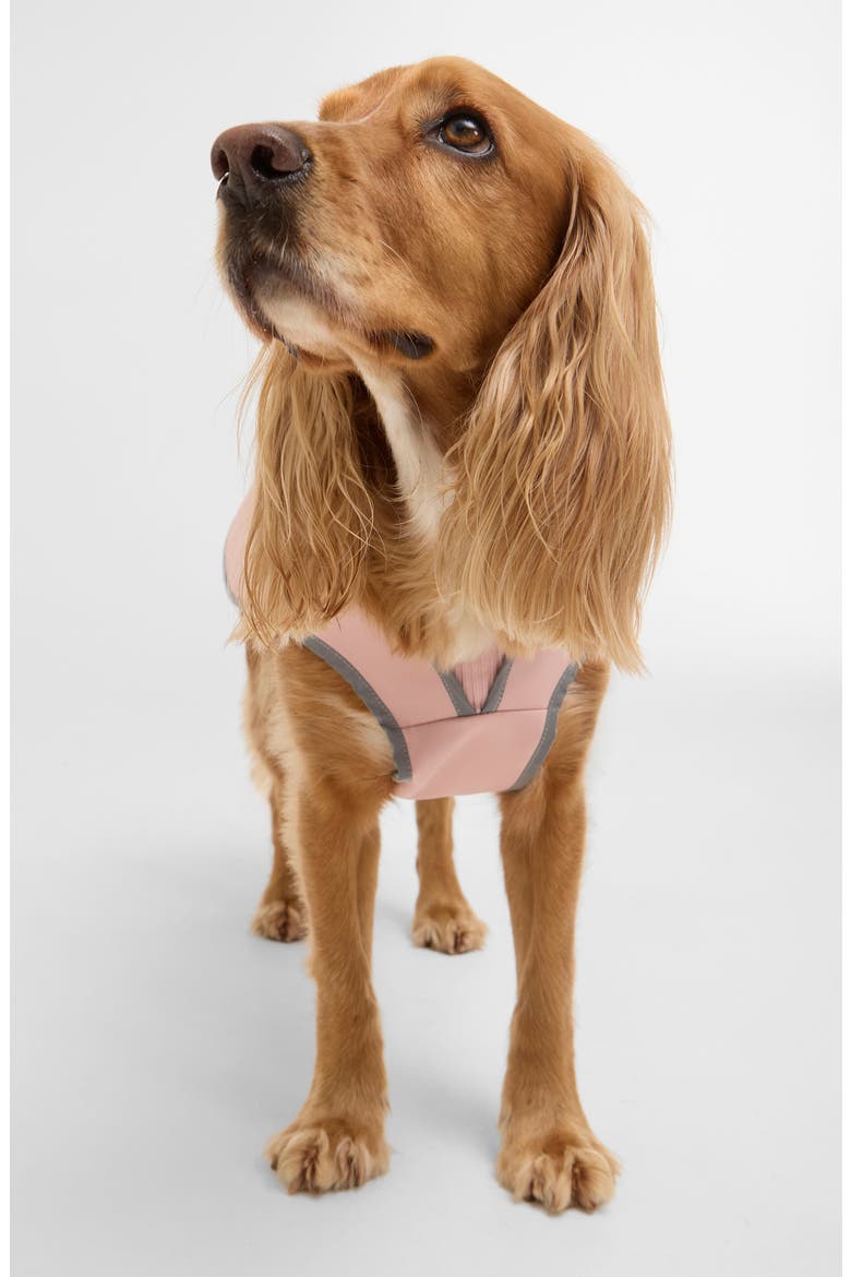 Evie Waterproof Dog Coat, Alternate, color, GARDENIA PINK